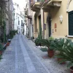 scilla chianaela