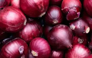 tropea rote zwieben