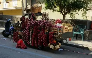 cipolle di tropea 1