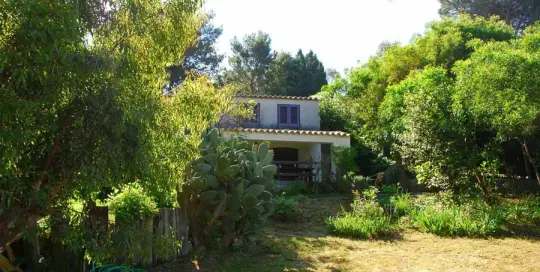 Casa Portico – Reizendes Ferienhaus mit großer Veranda am Capo Vaticano in Kalabrien, Italien - Garten