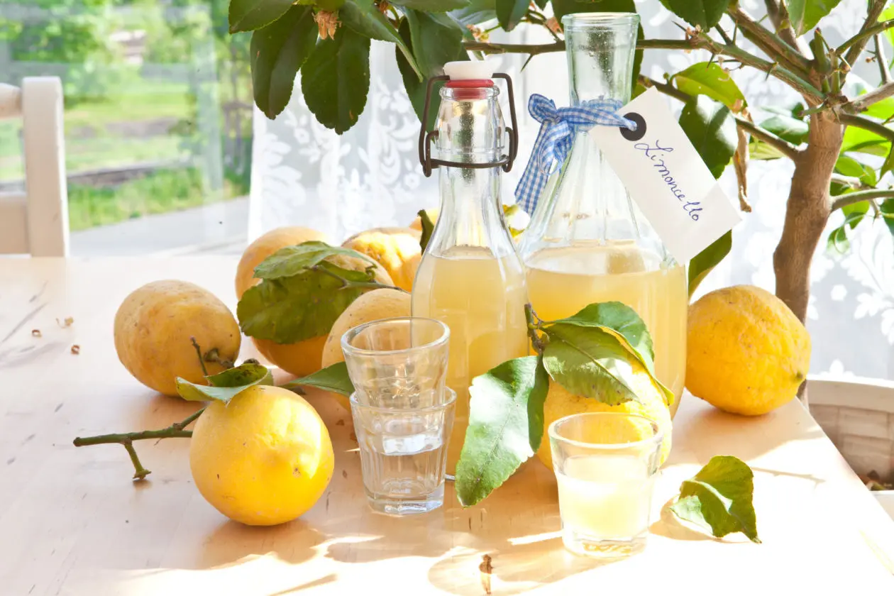 Hausgemachter Limoncello Hausgemachter Limoncello aus frischen Bio-Zitronen in kleinen Flaschen