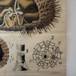 Detail im Casa Castiglione in Strongoli, Kalabrien