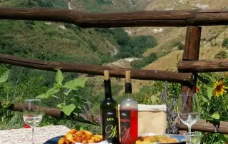 Aperitif im Weinberg